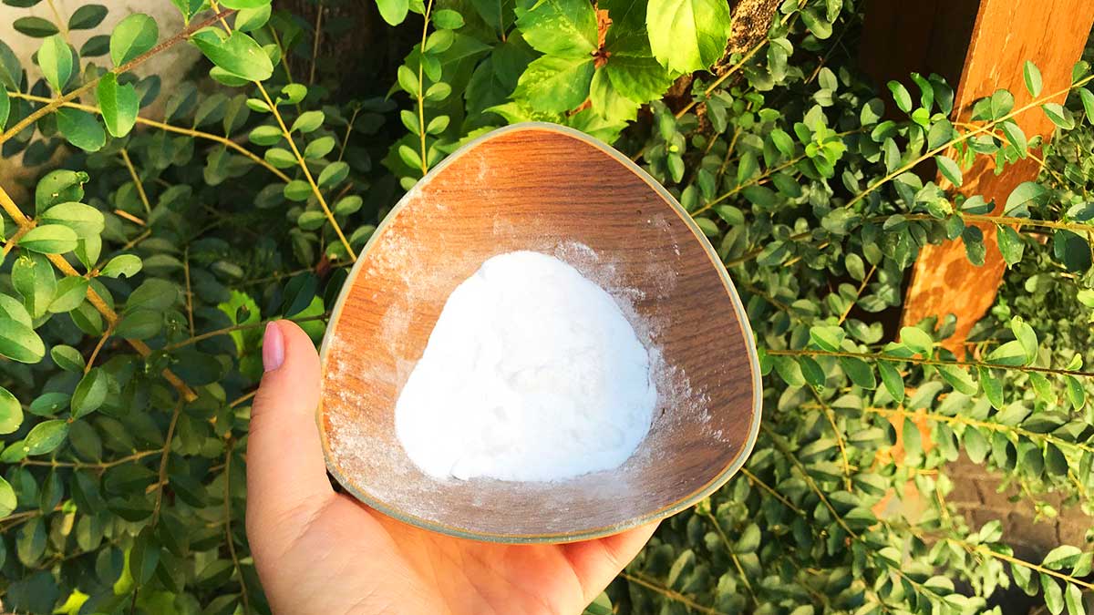Vuoi un giardino bellissimo? Ti basta una manciata di bicarbonato