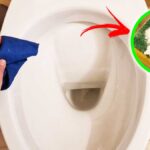 Come lucidare i Sanitari e togliere il Calcare con 5+1 Trucchi efficaci