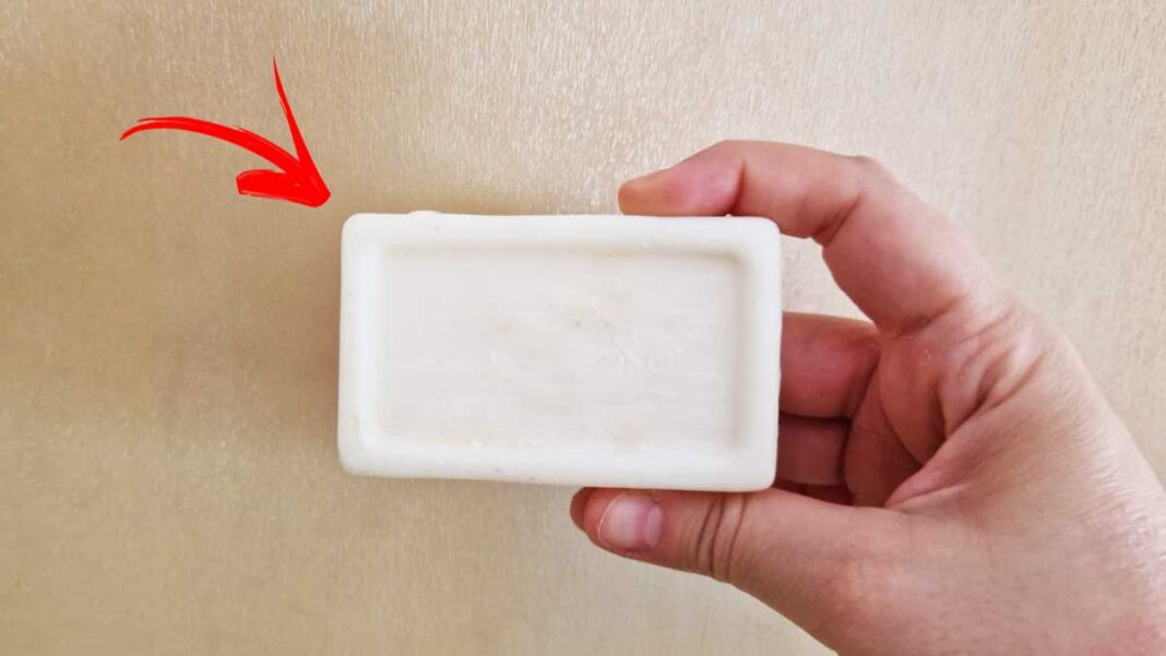 sapone-marsiglia-utilizzi-alternativi sapone-marsiglia-utilizzi-alternativi