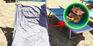 come-non-far-sbiadire-teli-mare-sole