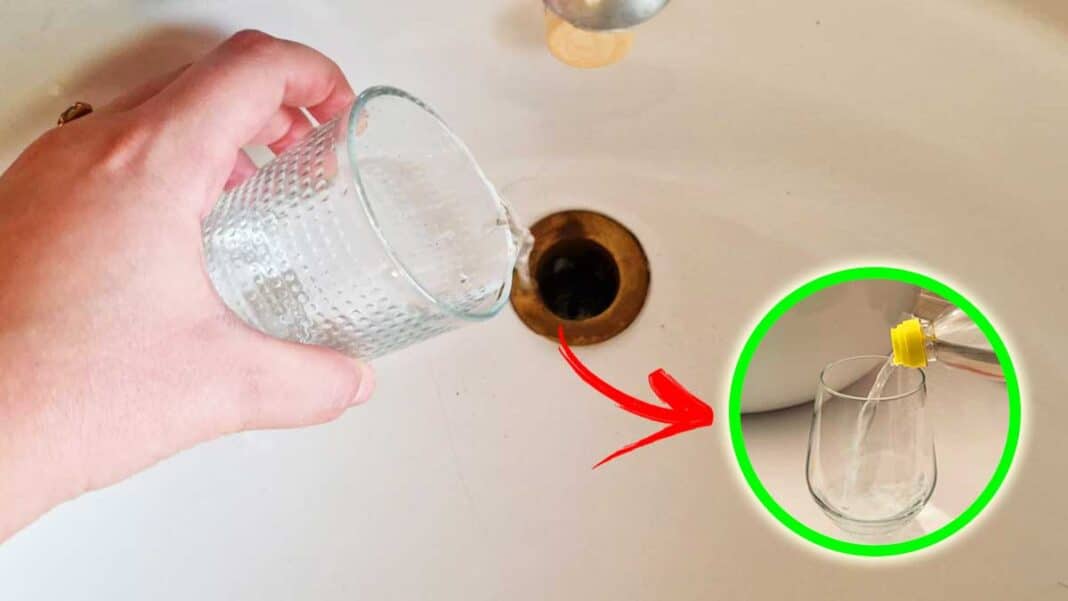 come-togliere-puzza-fogna-bagno-bicchiere come-togliere-puzza-fogna-bagno-bicchiere
