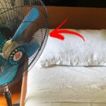 Dove Posizionare al meglio il Ventilatore per Rinfrescare la Casa se non hai l’aria condizionata