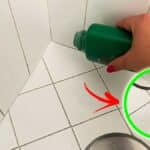 I rimedi naturali per allontanare le Formiche che trovi nelle fughe del bagno