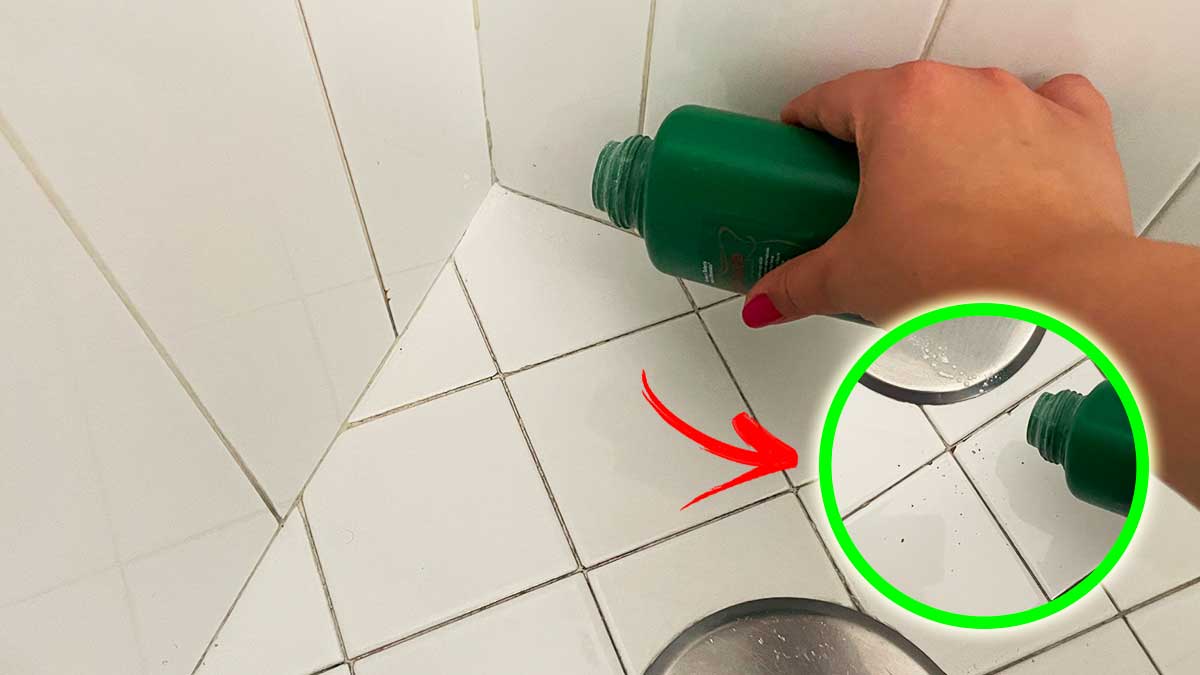 I rimedi naturali per allontanare le Formiche che trovi nelle fughe del bagno