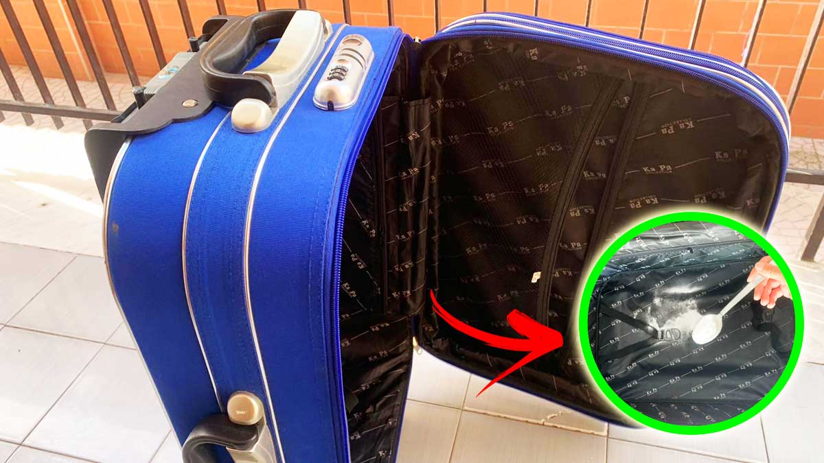 Come togliere la Puzza di Chiuso dalla Valigia dopo che è rimasta chiusa per un anno