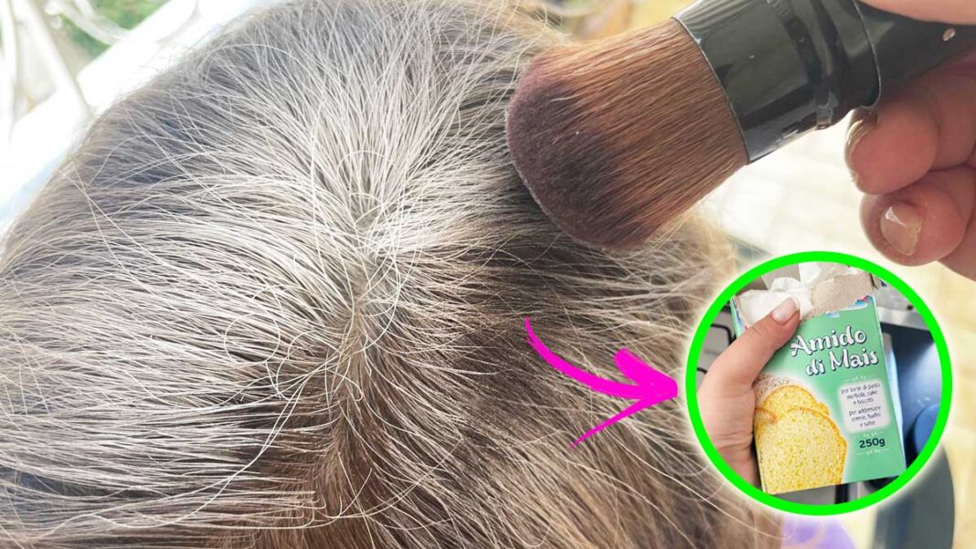shampoo-a-secco-fatto-in-casa shampoo-a-secco-fatto-in-casa