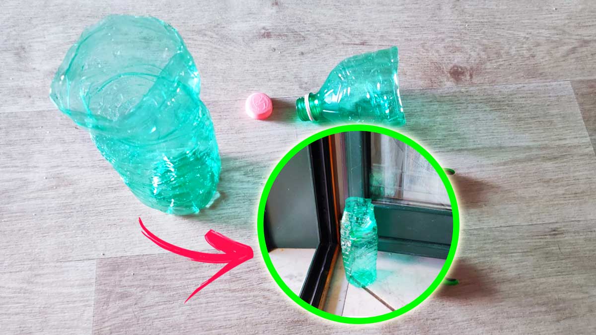 Come Catturare le Zanzare che entrano in casa con una Bottiglia di plastica