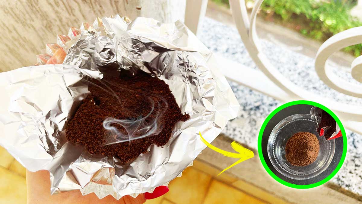 Il trucco del Catering per non avere Zanzare Vespe e Mosche quando sei in Balcone