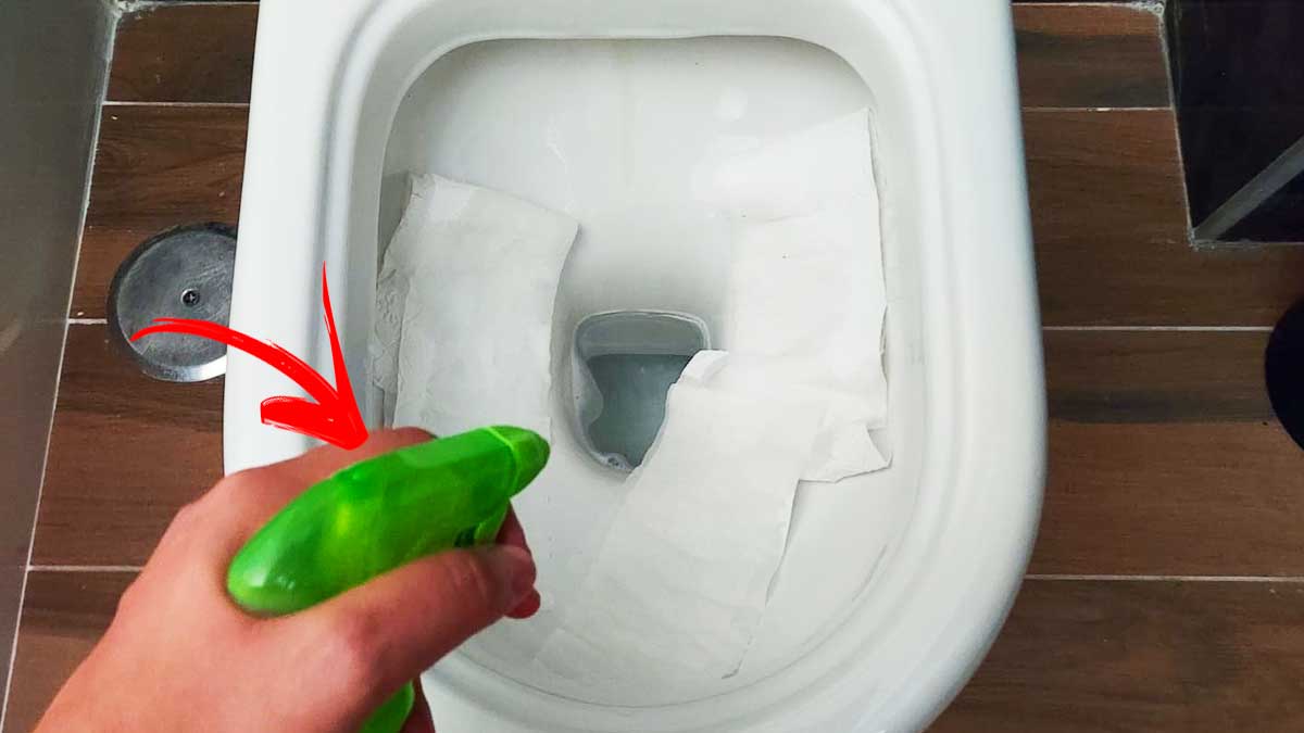 Come togliere per sempre il fondo nero nel Wc con il Trucco della carta imbevuta