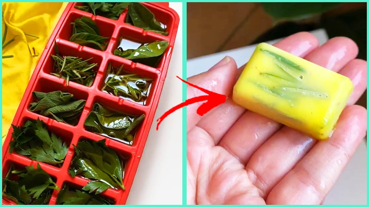 Come conservare il Basilico e altre Erbe aromatiche per averli a disposizione tutto l’anno