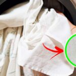 Come lavare le Lenzuola per non far attaccare le Cimici Verdi