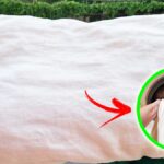 Come lavare i Cuscini a fine Estate per togliere macchie e odore di Sudore