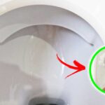 Come togliere tutte le macchie che si formano nel WC con un solo Rimedio naturale