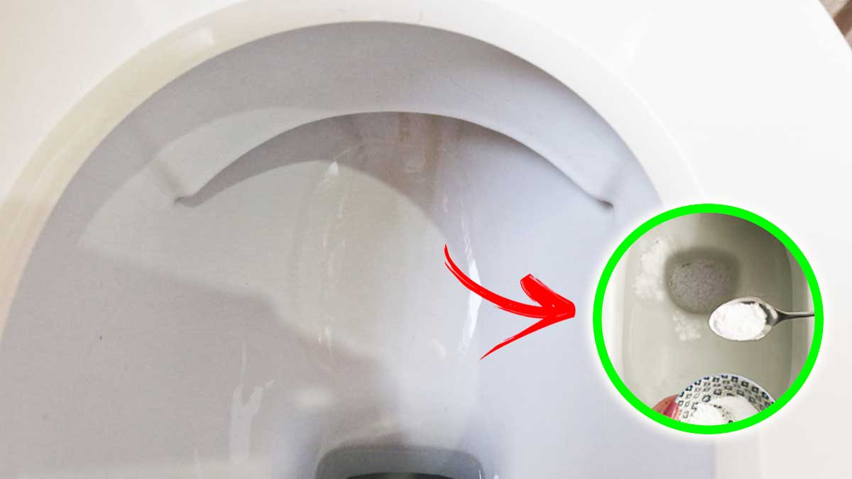 Come togliere tutte le macchie che si formano nel WC con un solo Rimedio naturale
