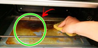 olio-bruciato-fondo-forno