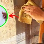 Come Pulire le Finestre sporcate dalla Pioggia Estiva