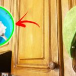 Come togliere l’unto dai Mobili della Cucina dopo aver cucinato tanto