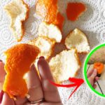Come riutilizzare le bucce dei mandarini in casa