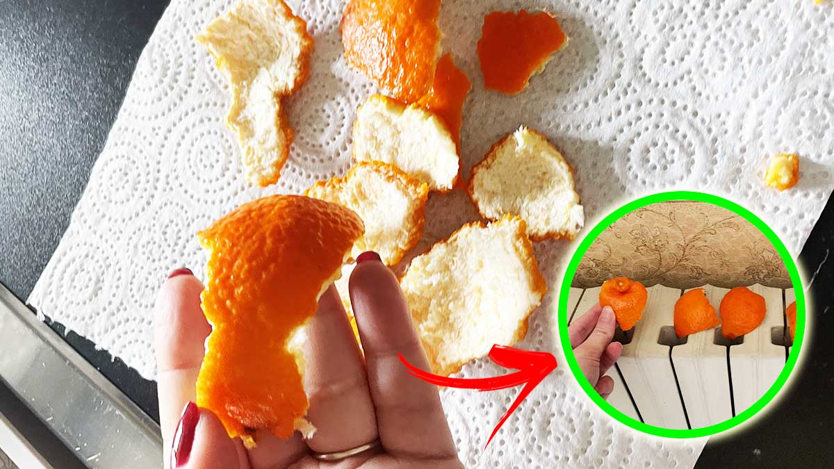 Come riutilizzare le bucce dei mandarini in casa