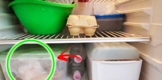 come-organizzare-cibo-in-frigorifero
