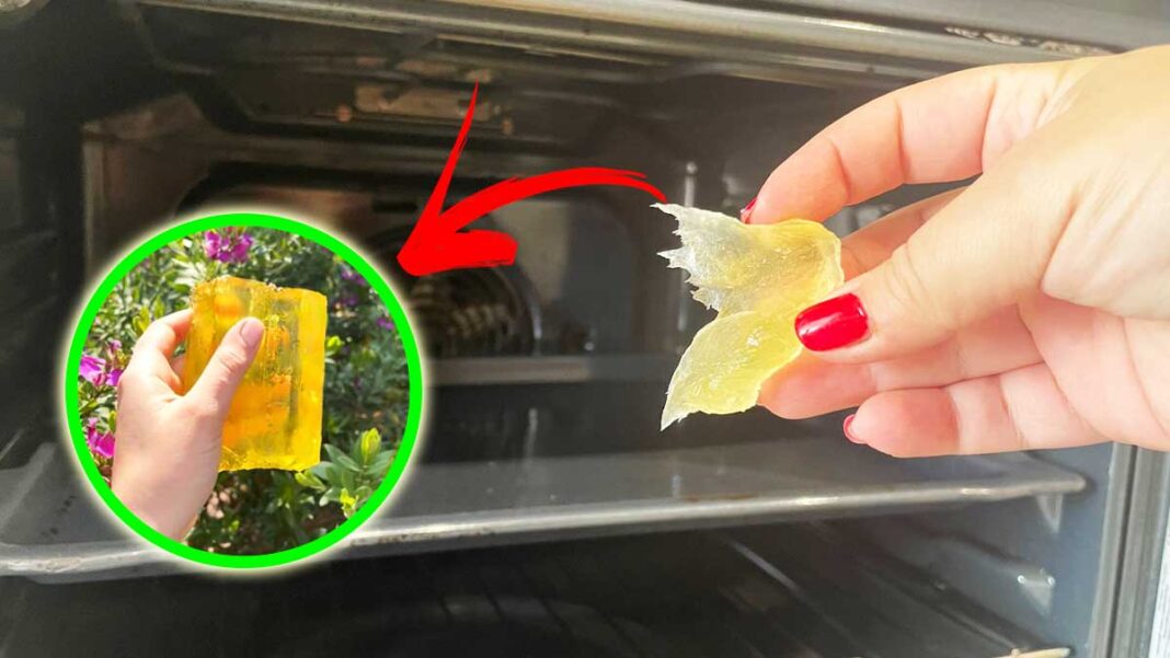 Come sgrassare tutto il forno con il sapone giallo da bucato  --- (Fonte immagine: https://www.vivodibenessere.it/wp-content/uploads/2023/10/pulire-forno-sapone-giallo-1068x601.jpg)