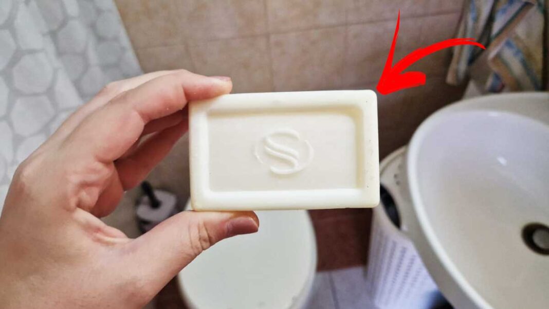 sapone-marsiglia-bagno
