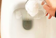 sbiancare-interno-wc