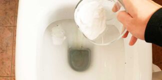 sbiancare-interno-wc