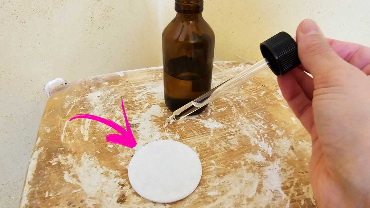 Come avere una casa sempre profumata con rimedi naturali