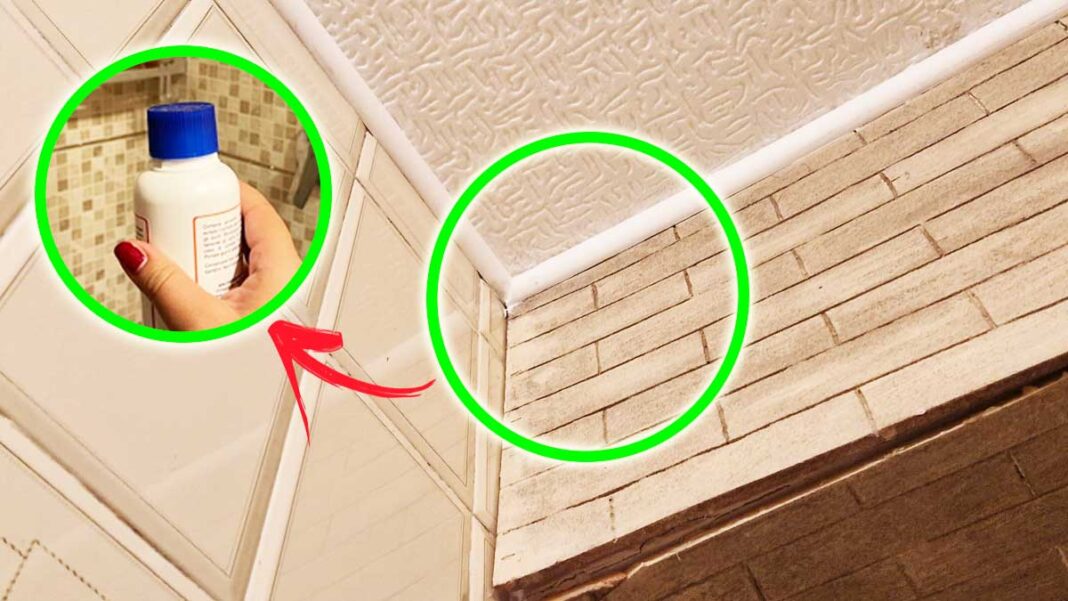 Come togliere la muffa dagli angolo del soffitto  --- (Fonte immagine: https://www.vivodibenessere.it/wp-content/uploads/2023/11/muffa-angoli-soffitto-rimedi-1068x601.jpg)