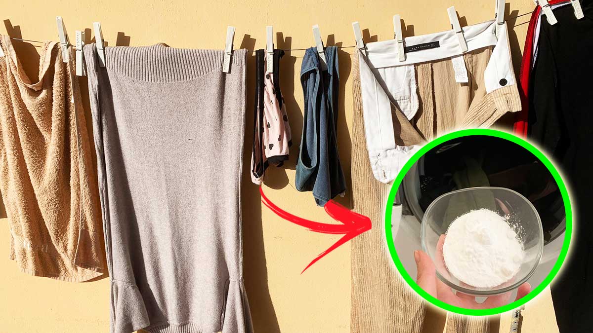 Come togliere la puzza sui panni lasciati stesi fuori con l’umidità