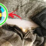 Come ammorbidire le sciarpe e i cappelli infeltriti