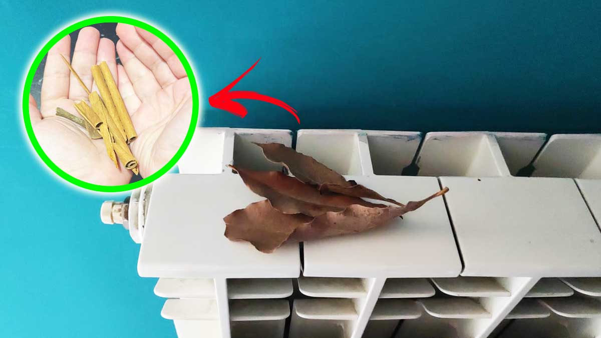 Il rimedio Naturale per profumare la Casa con i Termosifoni