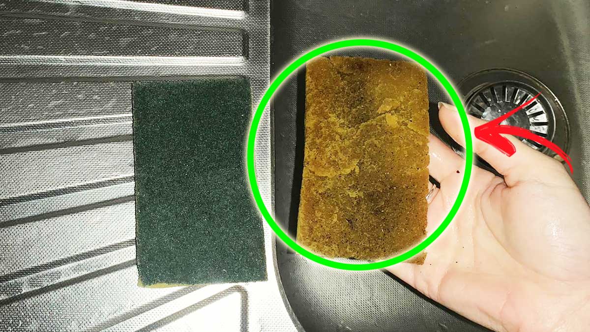 Cosa dovresti sapere sull’utilizzo delle spugne da cucina