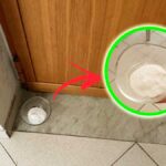 Come assorbire l’umidità in casa senza deumidificatore
