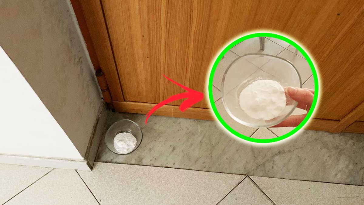 Come assorbire l’umidità in casa senza deumidificatore