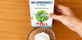 bicarbonato-di-sodio