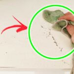 Cosa dovresti sapere sulla comparsa continua della Polvere