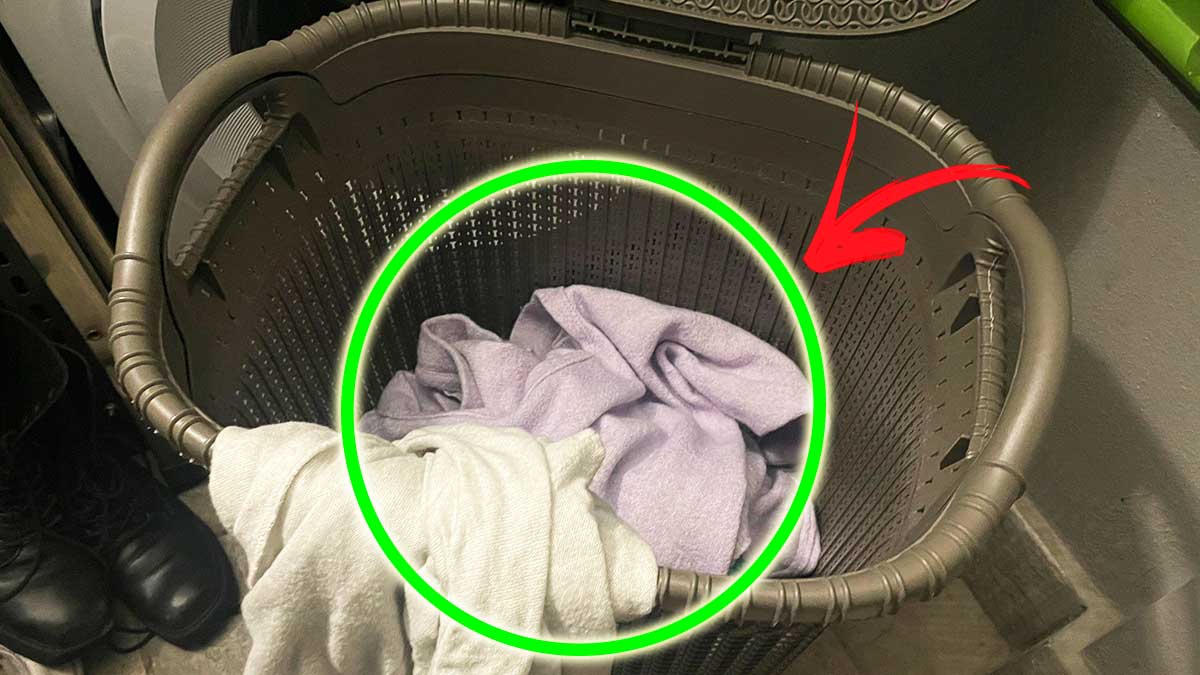 Perché a volte gestire il bucato nelle case “affollate” è difficile