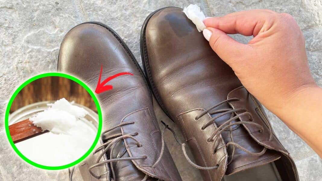lucidar-scarpe-olio-cocco lucidar-scarpe-olio-cocco
