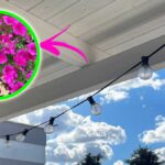 Come respirare l’aria di Primavera sul tuo Balcone