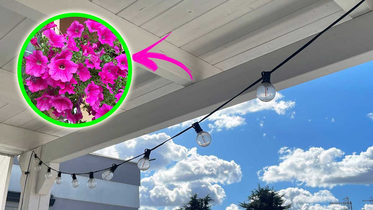 Come respirare l’aria di Primavera sul tuo Balcone