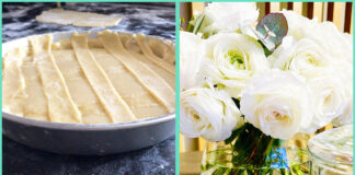 portare-profumo-pasqua-in-casa