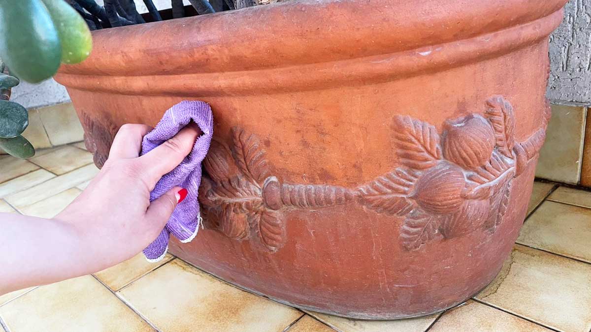 Come pulire i vasi di terracotta per farli tornare come nuovi