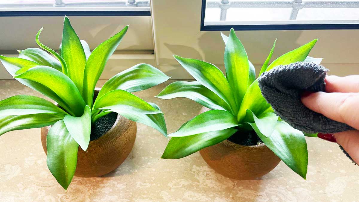 Come eliminare la Polvere da piante finte e vere che hai in Casa