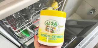 acido-citrico-alga
