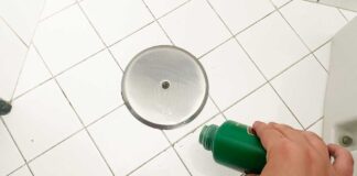 formiche-bagno