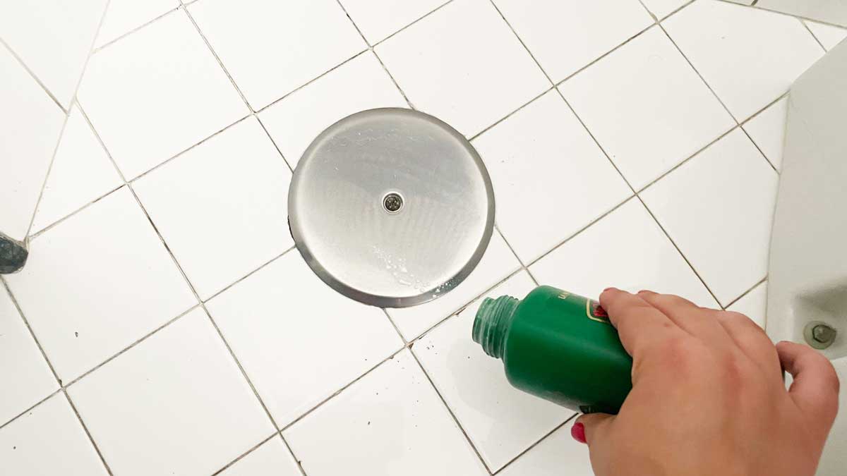 Formiche in bagno come eliminarle con rimedi fai da te