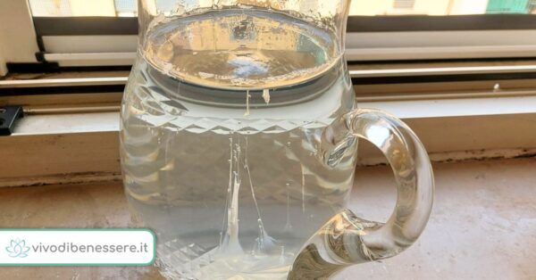 Barca Di San Giovanni Interpretazione Ma la Barca si fa a San Giovanni o a San Pietro? Facciamo chiarezza!