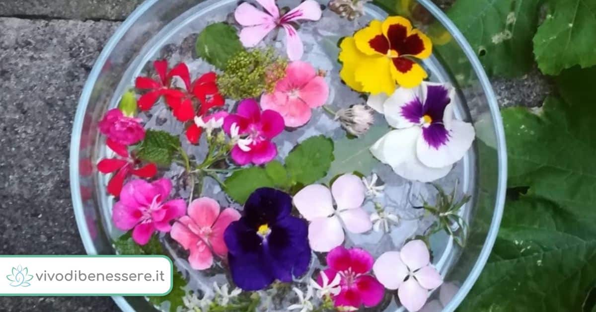 Quali fiori servono per fare l’Acqua di San Giovanni?
